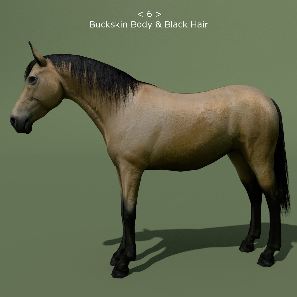 LowPoly Horses 10 colours Low-poly 3D model_6