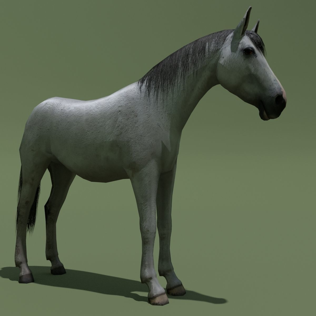 LowPoly Horses 10 colours Low-poly 3D model_40