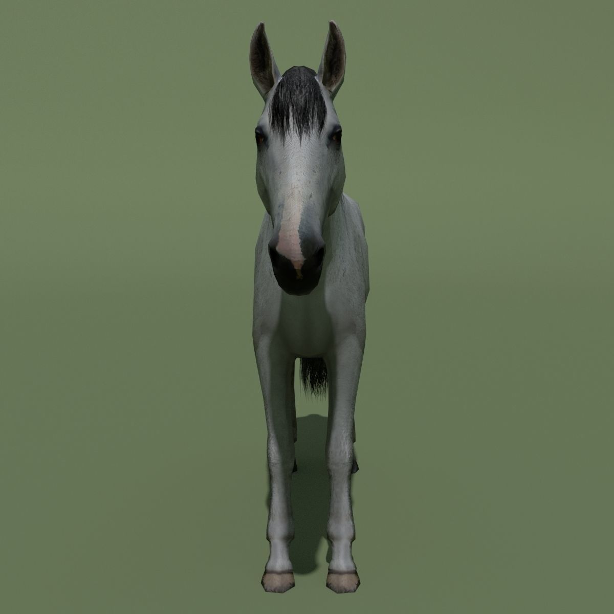 LowPoly Horses 10 colours Low-poly 3D model_41