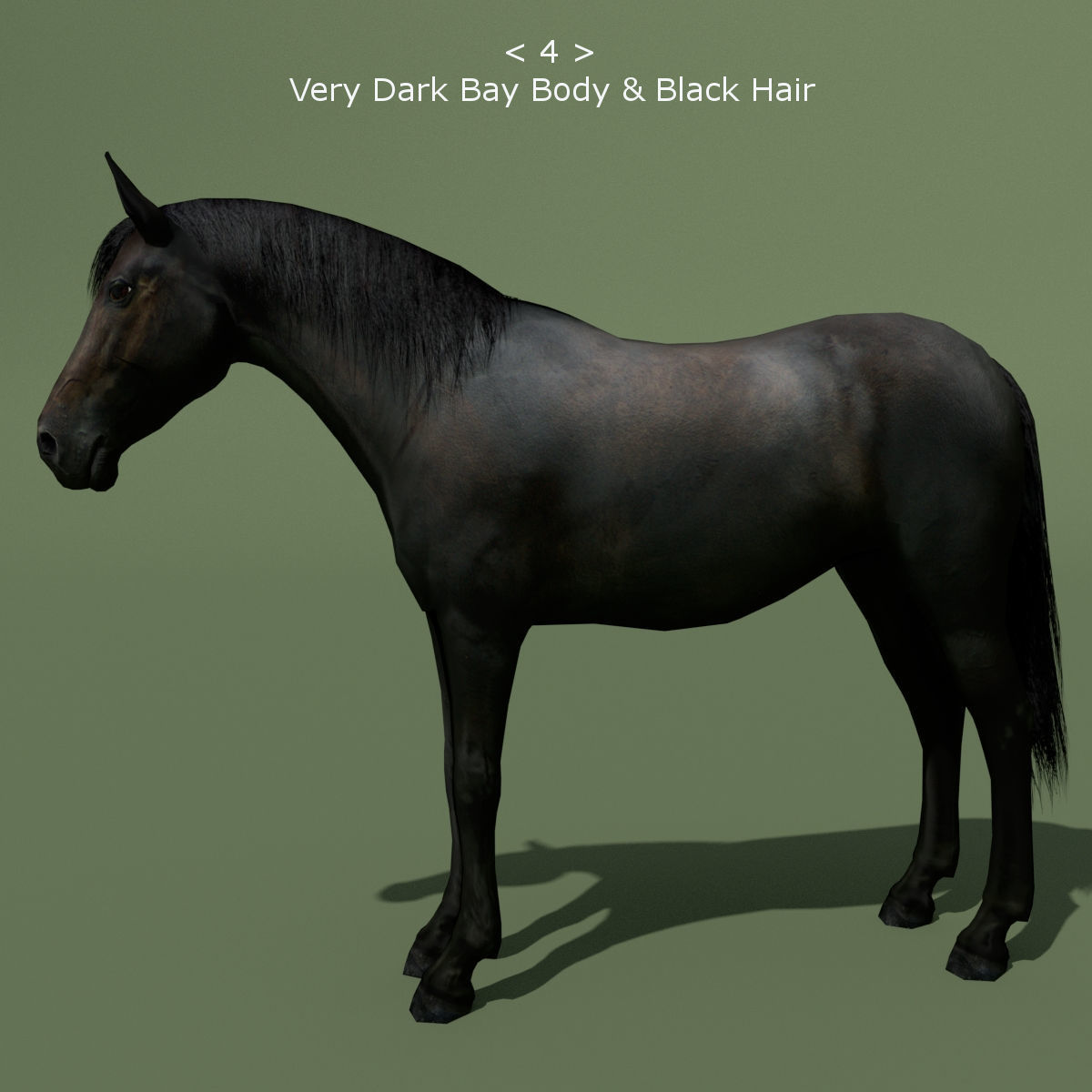 LowPoly Horses 10 colours Low-poly 3D model_4