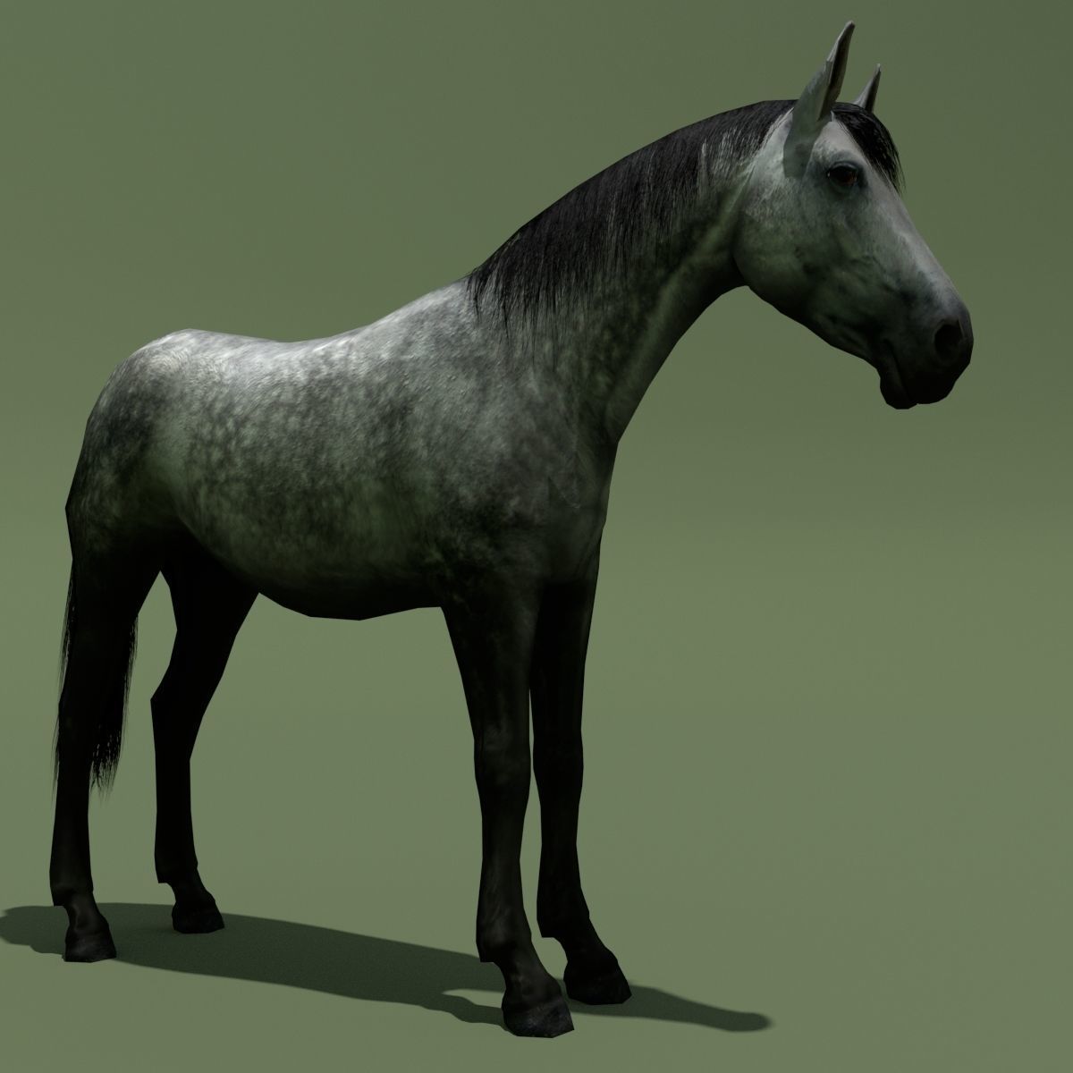 LowPoly Horses 10 colours Low-poly 3D model_54