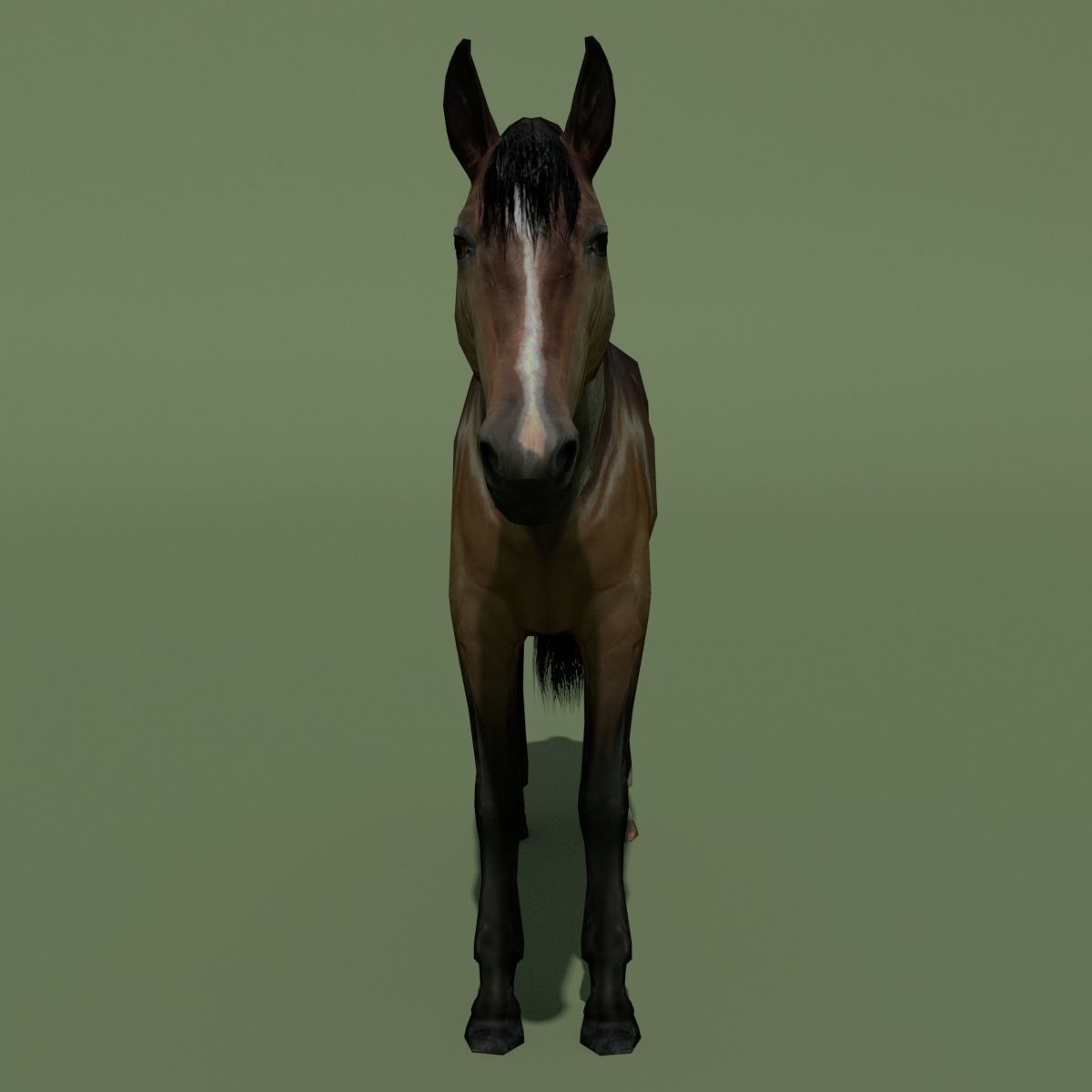 LowPoly Horses 10 colours Low-poly 3D model_34
