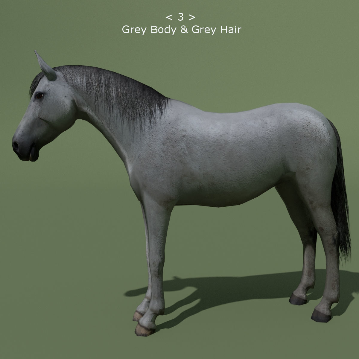 LowPoly Horses 10 colours Low-poly 3D model_3