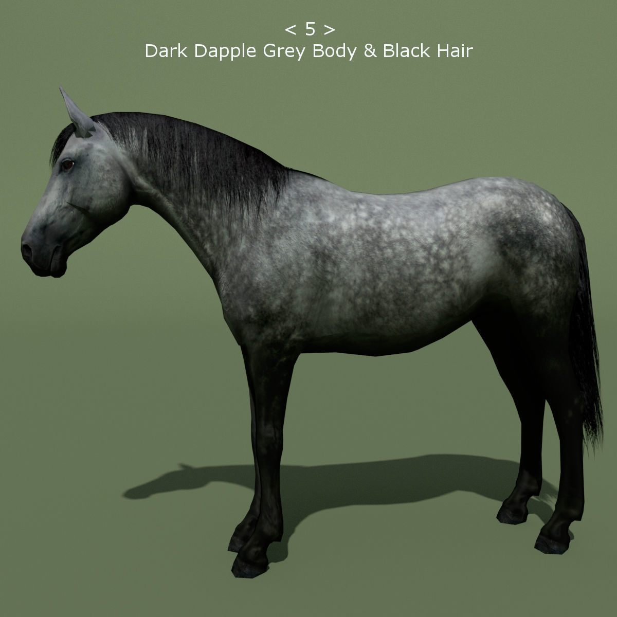 LowPoly Horses 10 colours Low-poly 3D model_5