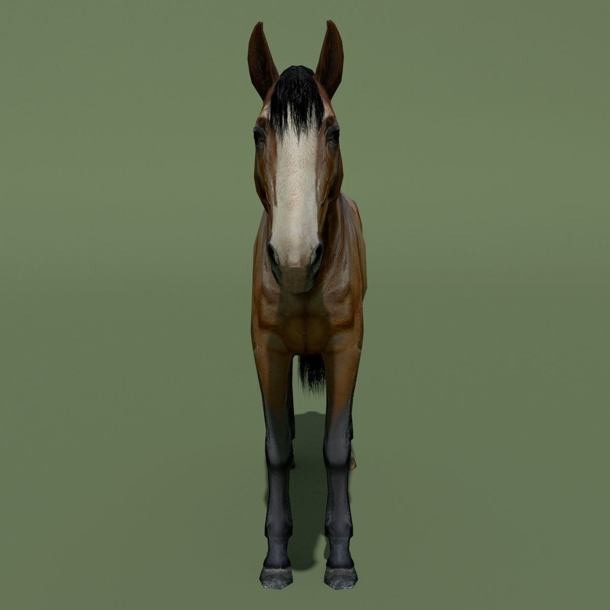 LowPoly Horses 10 colours Low-poly 3D model_27