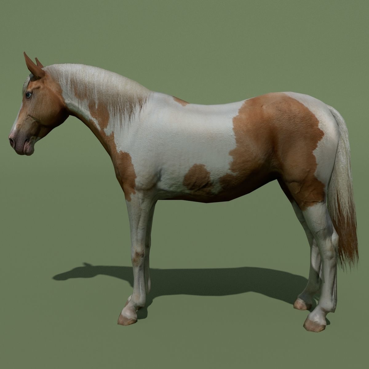 LowPoly Horses 10 colours Low-poly 3D model_84