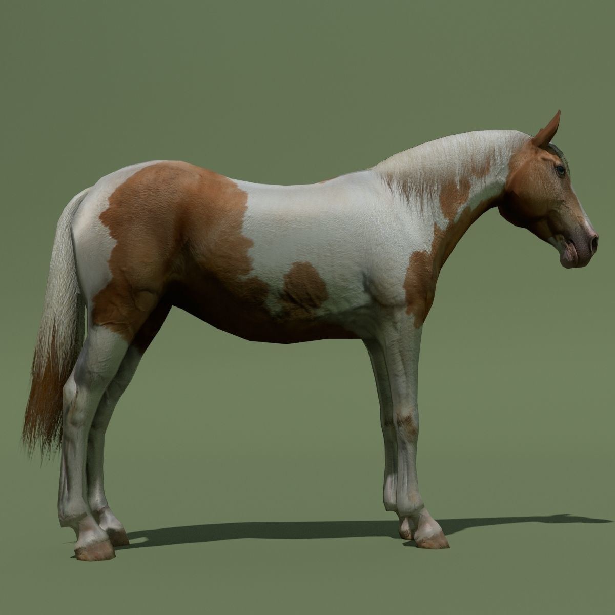 LowPoly Horses 10 colours Low-poly 3D model_88