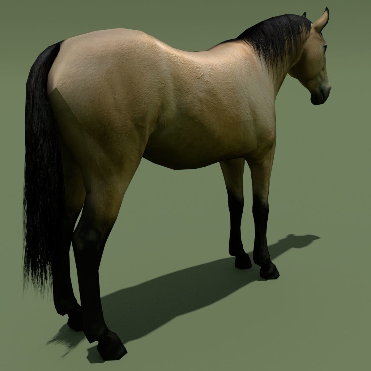 LowPoly Horses 10 colours Low-poly 3D model_59