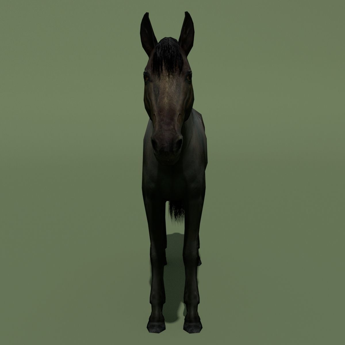 LowPoly Horses 10 colours Low-poly 3D model_48
