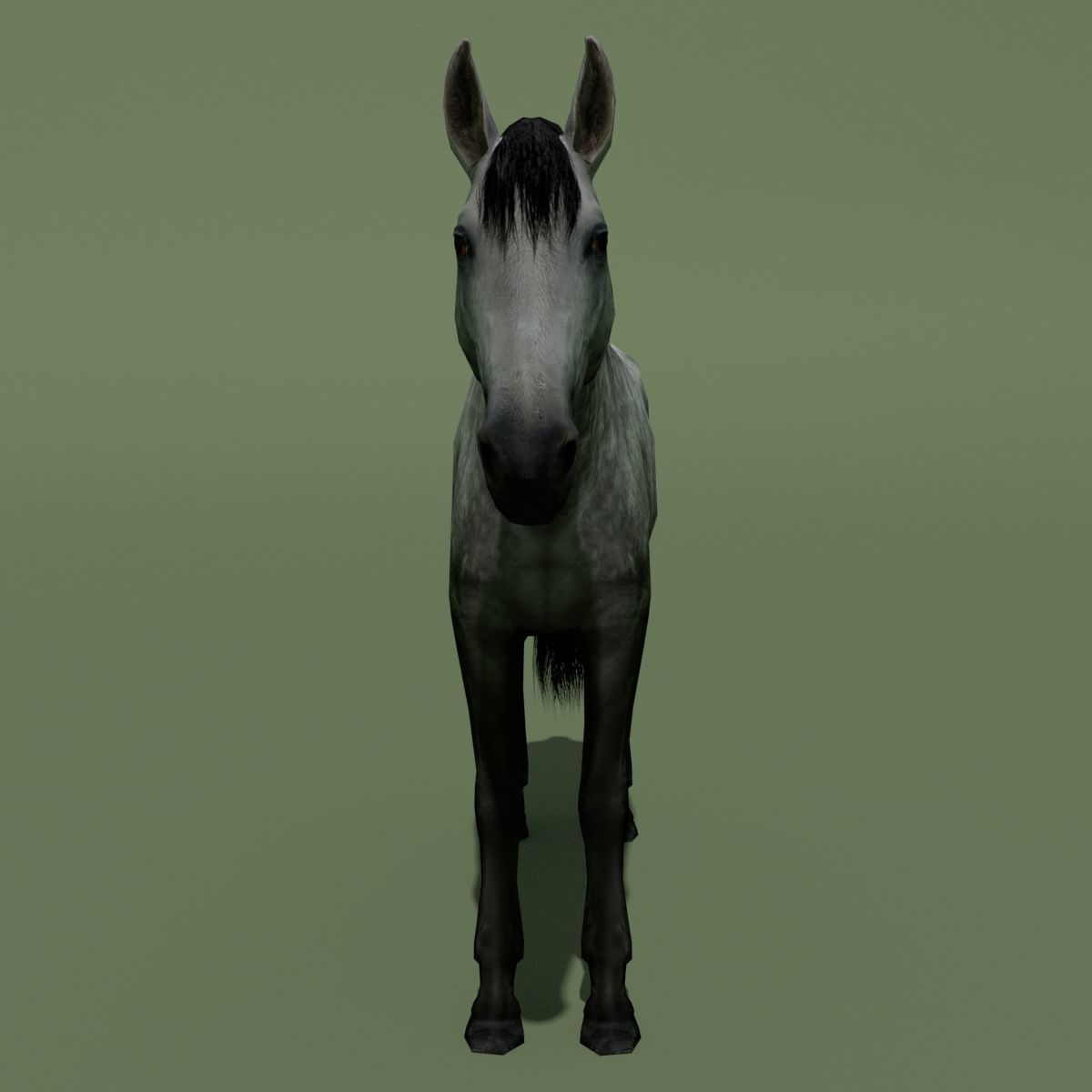 LowPoly Horses 10 colours Low-poly 3D model_55