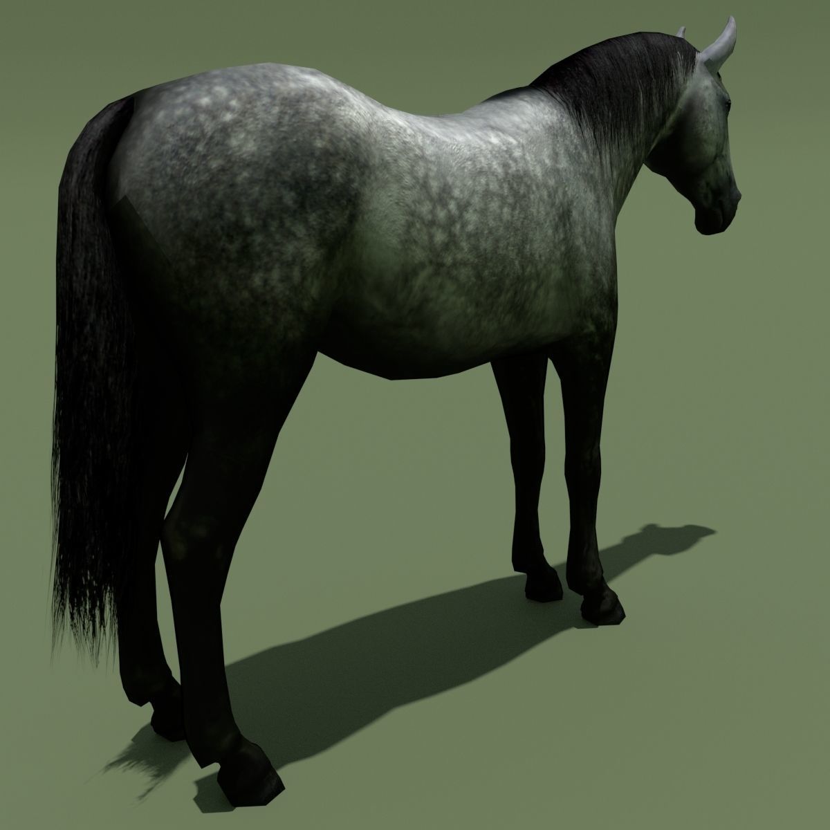 LowPoly Horses 10 colours Low-poly 3D model_52