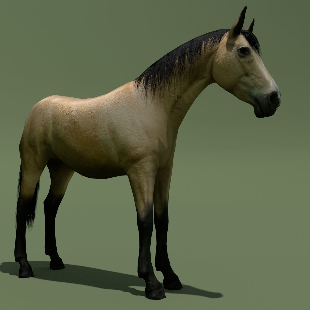 LowPoly Horses 10 colours Low-poly 3D model_61