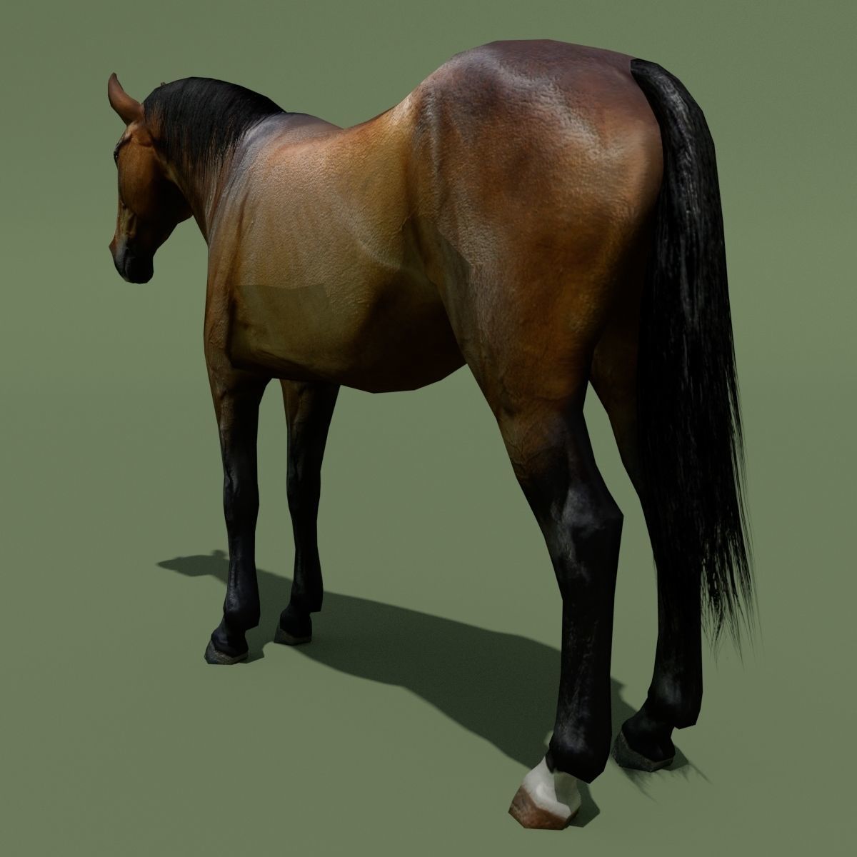 LowPoly Horses 10 colours Low-poly 3D model_22