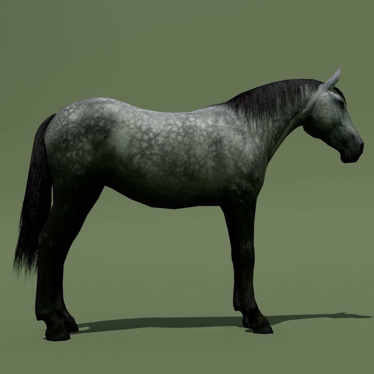 LowPoly Horses 10 colours Low-poly 3D model_53