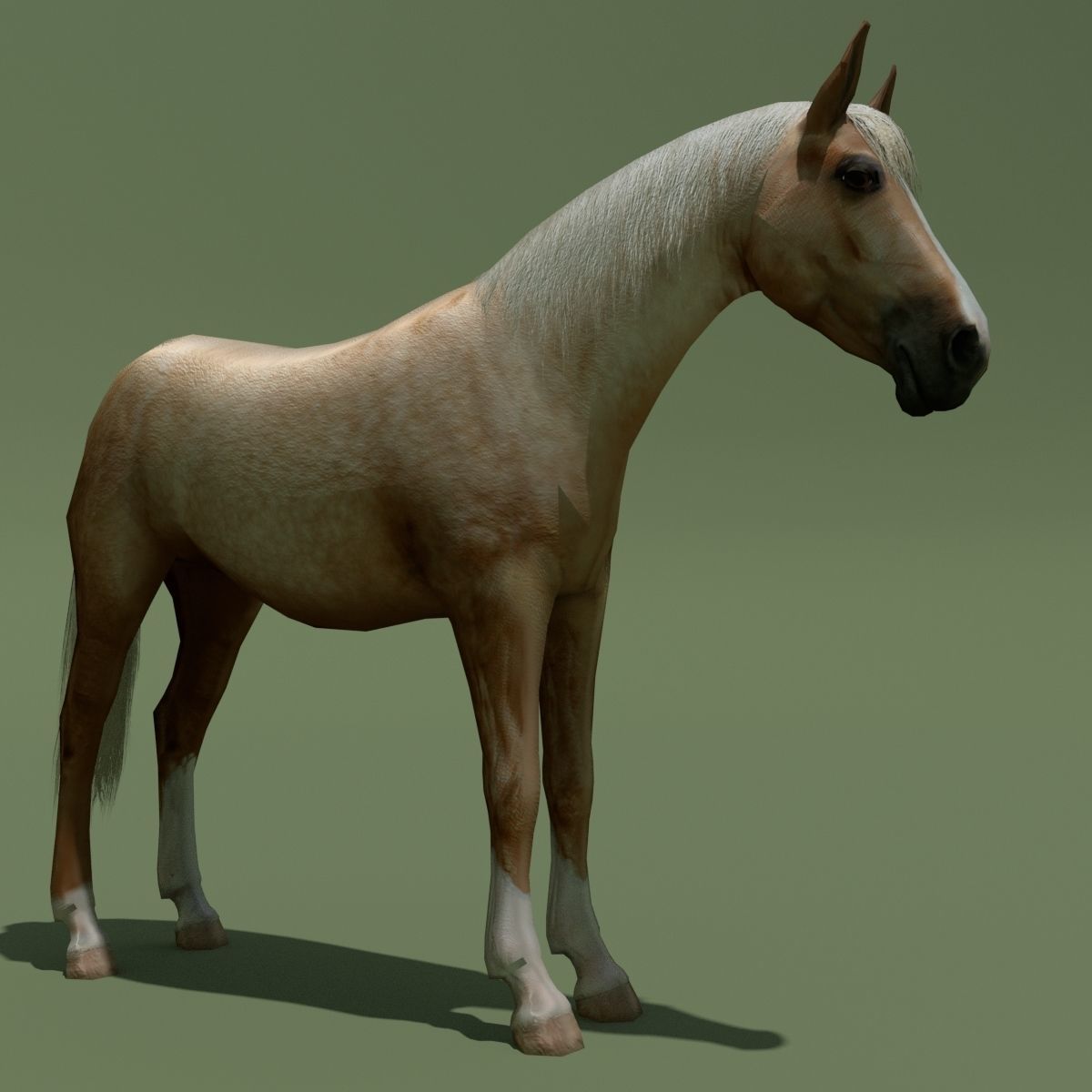 LowPoly Horses 10 colours Low-poly 3D model_82