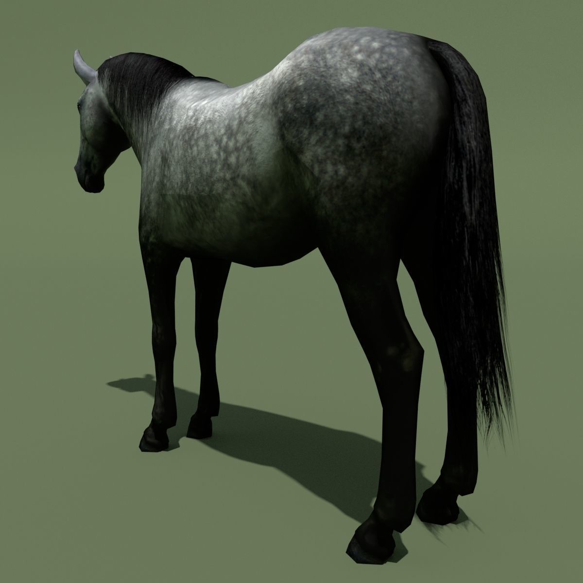 LowPoly Horses 10 colours Low-poly 3D model_50