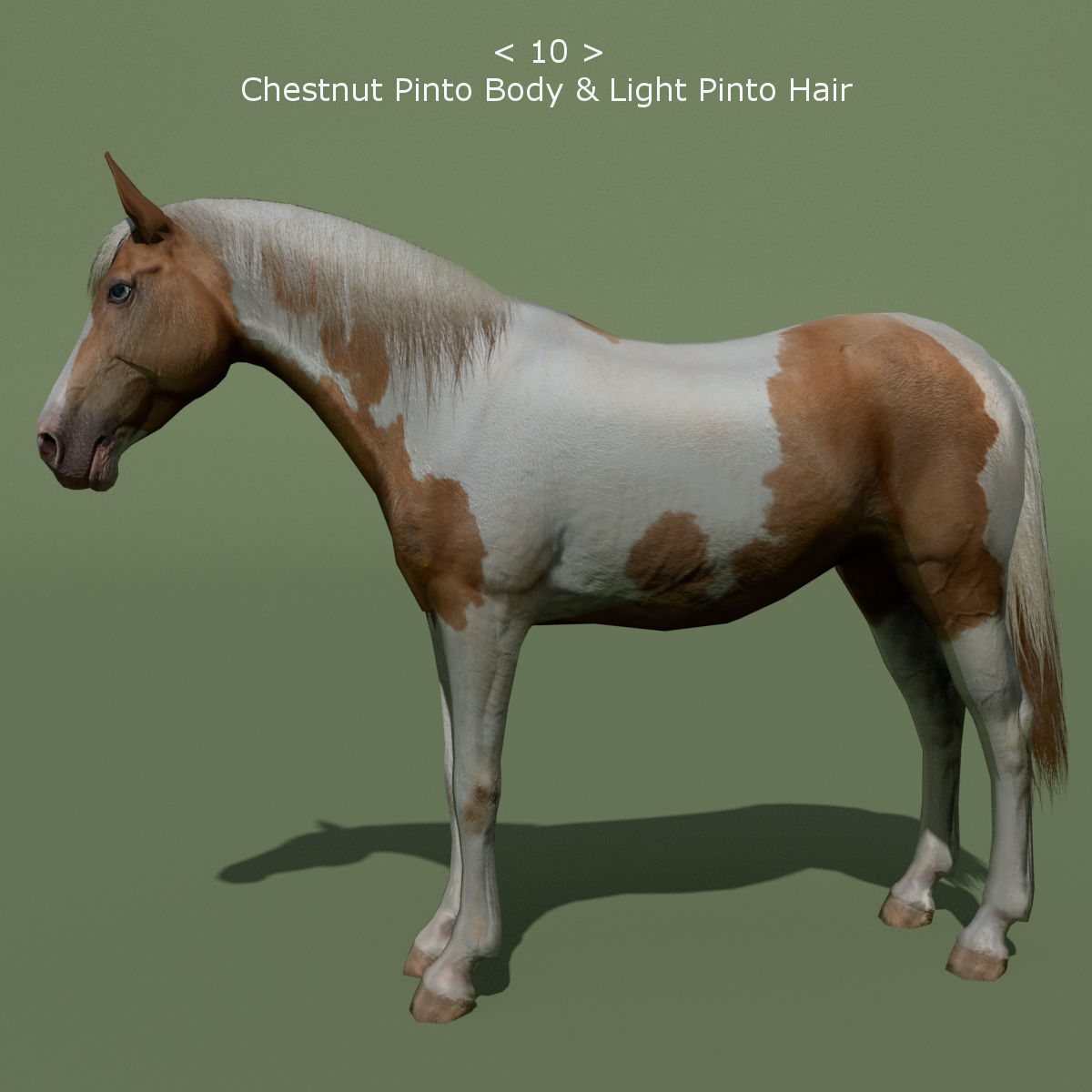 LowPoly Horses 10 colours Low-poly 3D model_10