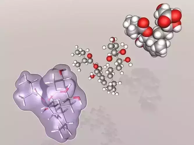 Pravastatin molecule 3D model