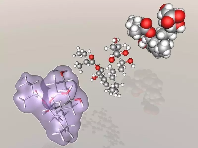 Pravastatin molecule 3D model