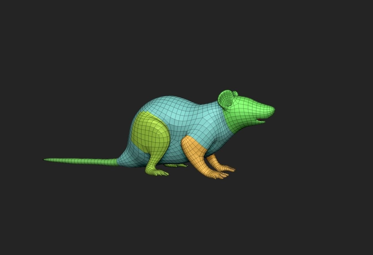 Mouse rat 3D model_15