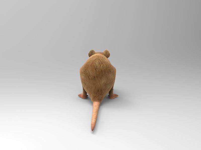 Mouse rat 3D model_2