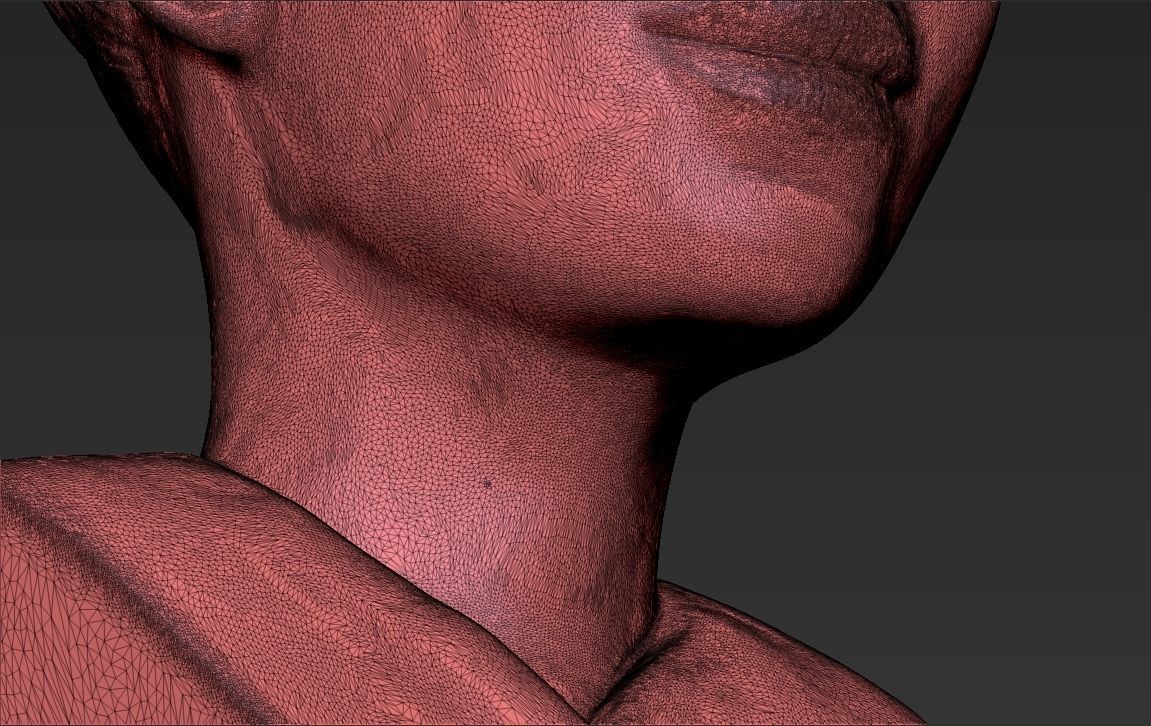 Beyonce Knowles bust ready for full color 3D printing 3D print model_56