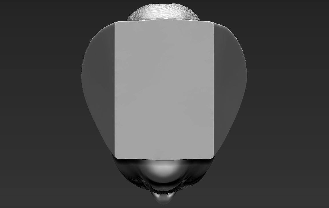 Beyonce Knowles bust ready for full color 3D printing 3D print model_42