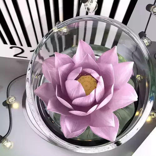 Pink water lily lotus plants vase with string led lights   3D model