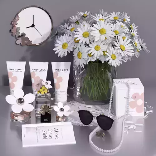 Daisy Flower Decorative Set decor set 3D model