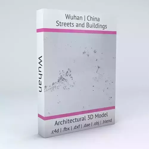 Wuhan Streets and Buildings 3D model