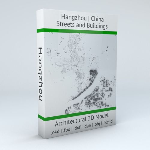 Hangzhou Streets and Buildings 3D model