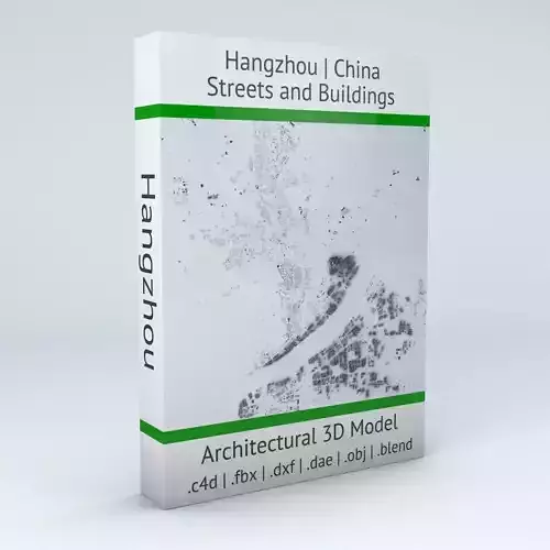 Hangzhou Streets and Buildings 3D model