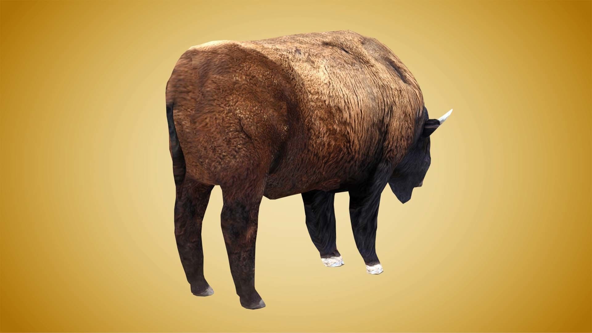 American Bison Buffalo Low-poly 3D model_3