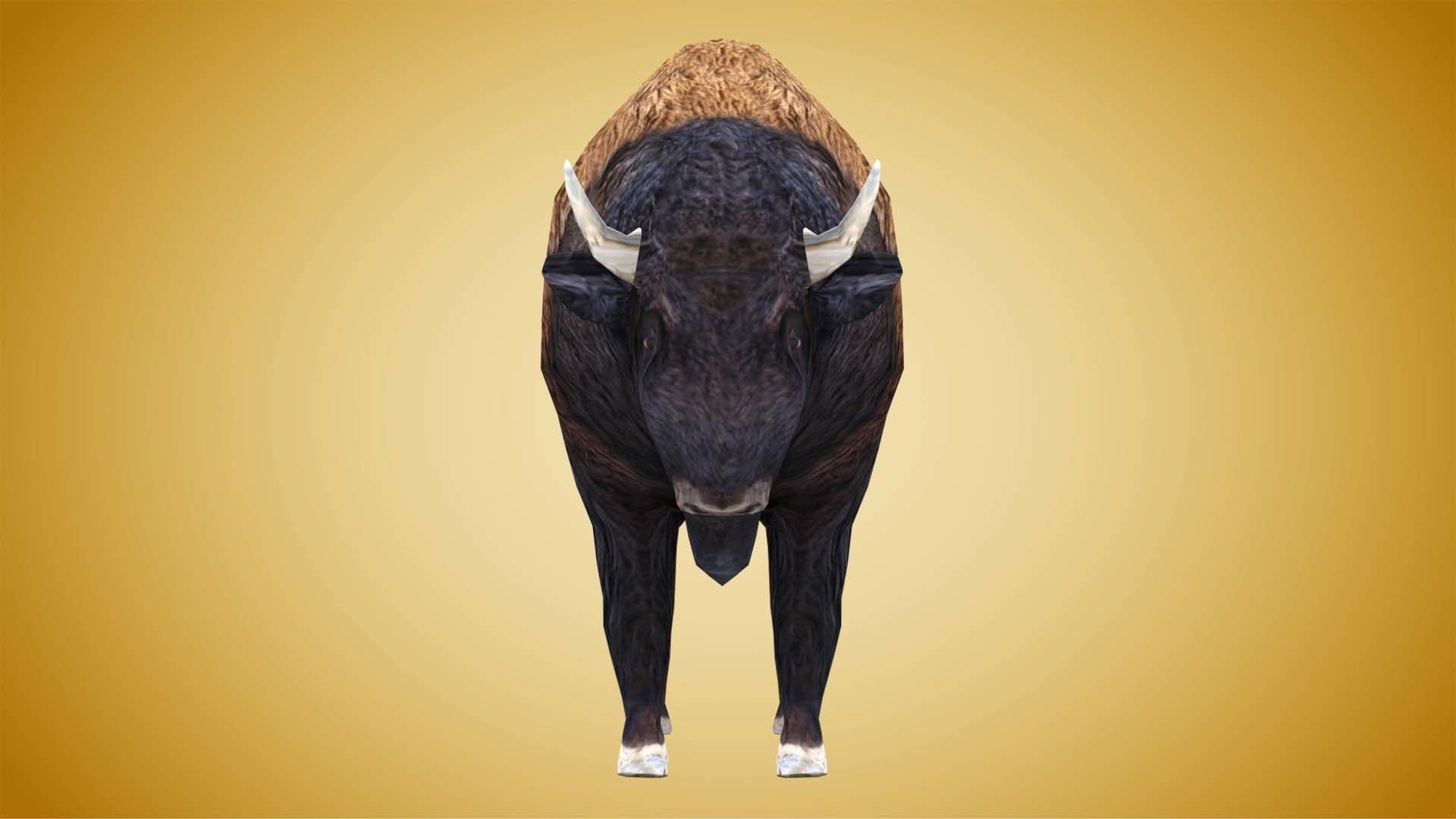 American Bison Buffalo Low-poly 3D model_2