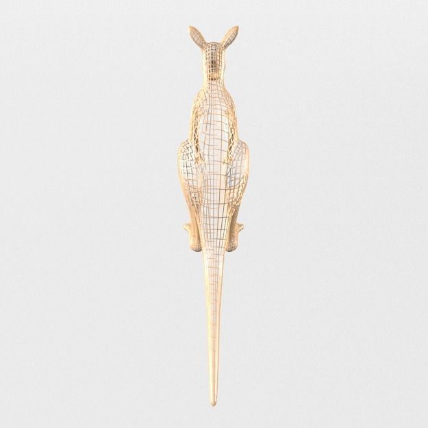 Kangaroo Low-poly 3D model_5