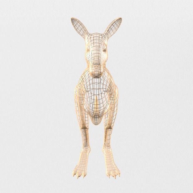 Kangaroo Low-poly 3D model_6