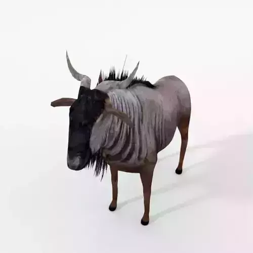 Wildebeest Gnu Low-poly 3D model