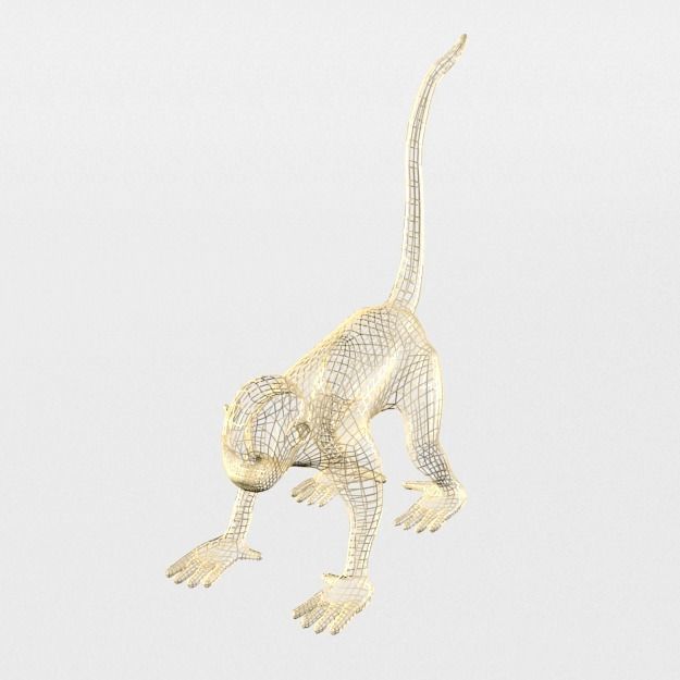 Squirrel Monkey Low-poly 3D model_4