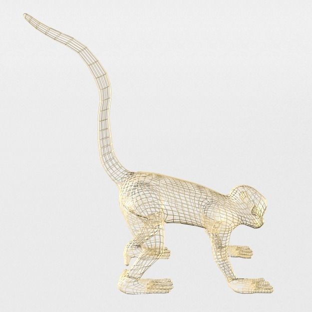 Squirrel Monkey Low-poly 3D model_7