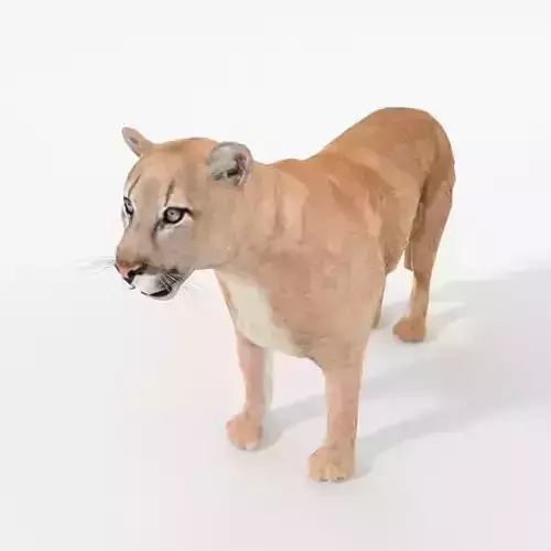 Cougar panther Low-poly 3D model