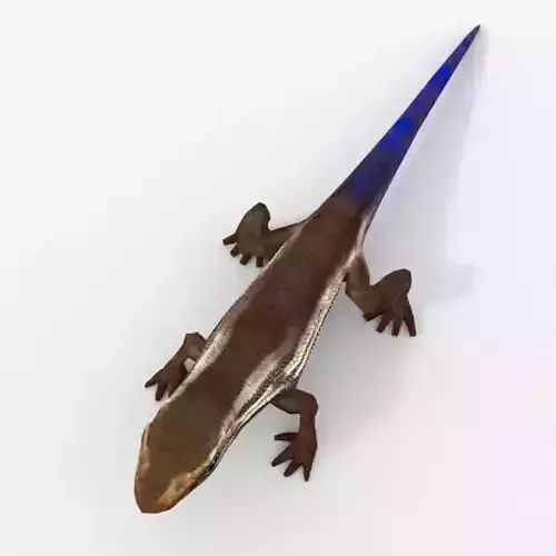 Scratched Skink Low-poly 3D model