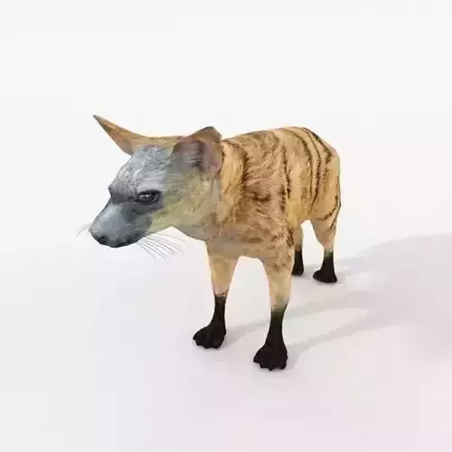 Aardwolf hyena Low-poly 3D model