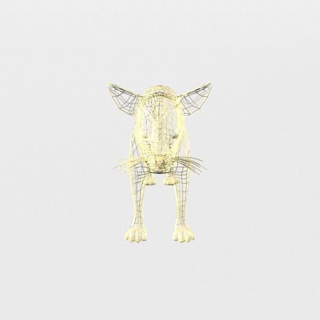 Aardwolf hyena Low-poly 3D model_6