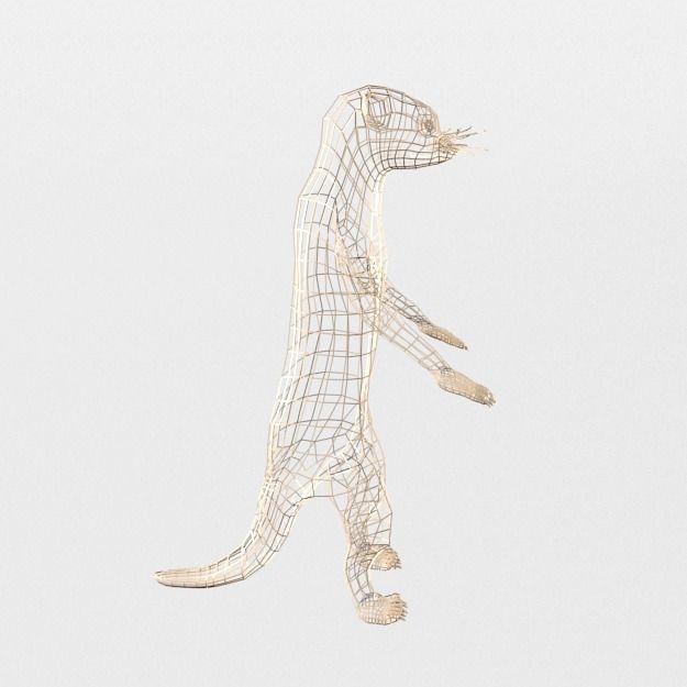 Meerkat Low-poly 3D model_7