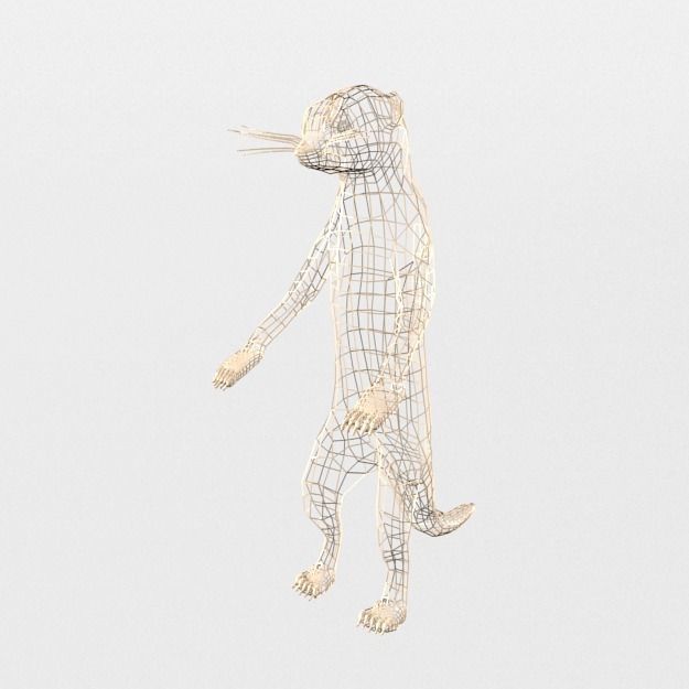 Meerkat Low-poly 3D model_4