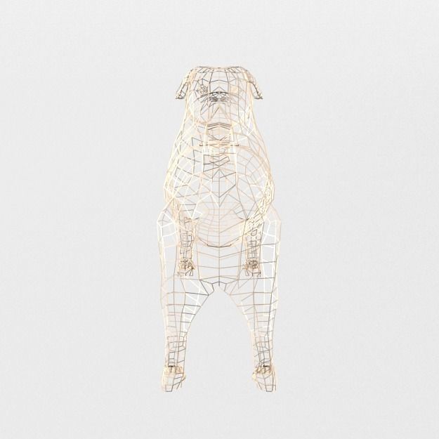 Dog Pug Low-poly 3D model_5