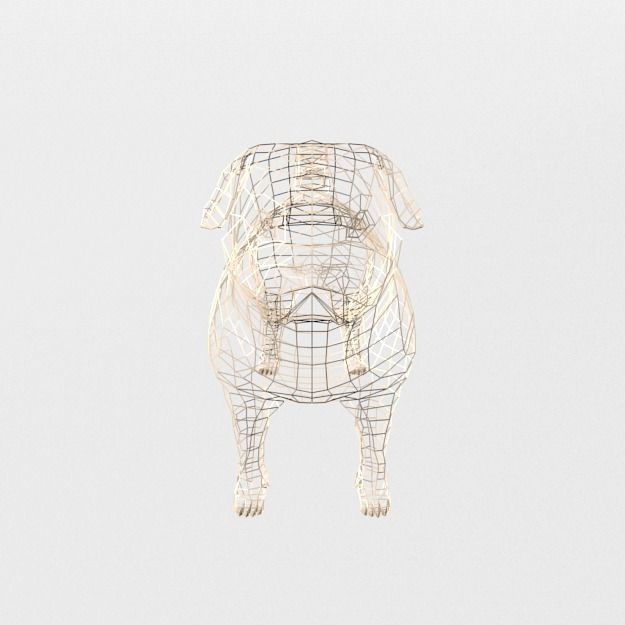 Dog Pug Low-poly 3D model_6