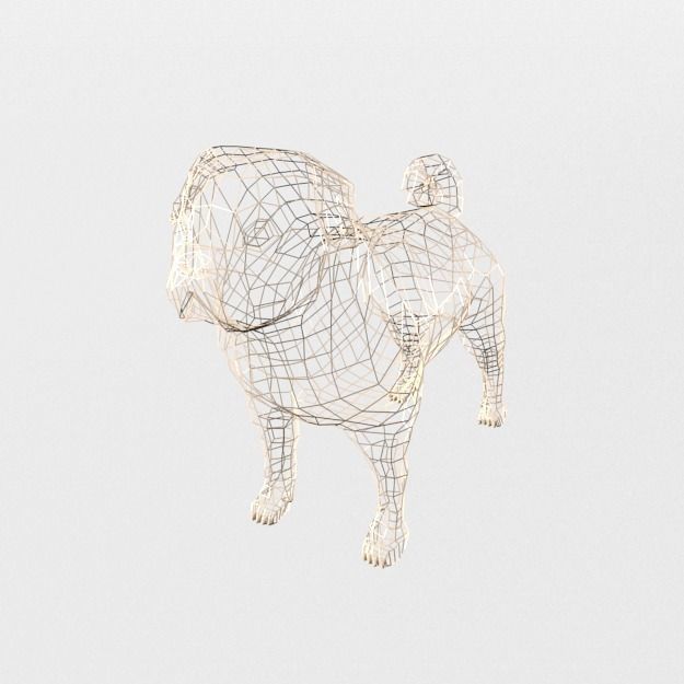 Dog Pug Low-poly 3D model_4