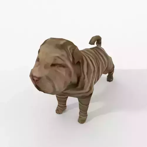 Shar Pei Low-poly 3D model