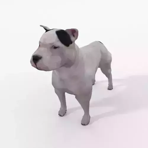 Pitbull dog Low-poly 3D model